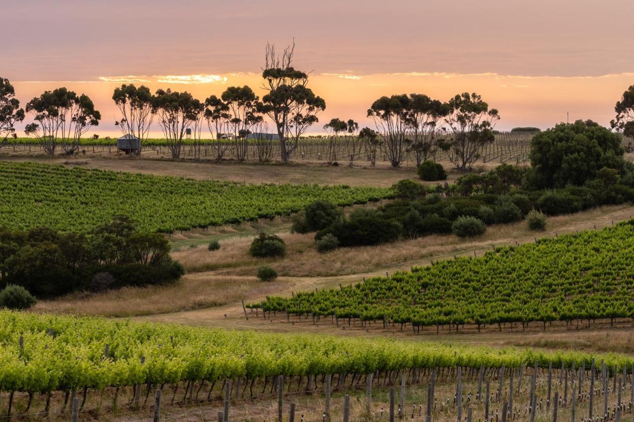 Hotel California Road At Inkwell Wines Макларън Вейл Екстериор снимка